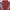 NFL ARIZONA CARDINALS WINDBREAKER OFFICIAL 🐦‍🔥 🐦‍🔥   photo 5