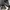 adidas yezzy yecheil photo 3