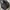 adidas yezzy yecheil photo 4