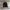 Vintage Current Stage Black Harrington Flight Jacket photo 5