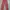 Celana Kenzo Paris Formal Wanita Original(30) photo 2