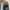 Gamu Blue Indigo Type I Denim Jacket photo 5