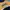 Hoodie NBA pacers photo 1