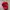 Red hat⛑️ photo 1
