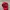 Red Hat⛑️