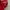 Red hat⛑️ photo 3