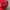 Red hat⛑️ photo 4