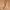 Cotton Belt 