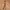 Leather Belt Brown photo 1