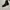 Calvin Klein CK206W39NYC metal toe cowboy boots photo 2