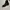 Calvin Klein CK206W39NYC Metal Toe Cowboy Boots