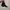 Calvin Klein CK206W39NYC metal toe cowboy boots photo 3