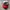 ⛑️RED WHITE photo 1