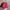 ⛑️RED WHITE photo 2