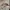 topi vintage k product nra television sponsor  photo 6