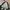 Nike Big Swoosh Windbreaker Hidden Hooded photo 8