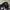 Nike Big Swoosh Windbreaker Hidden Hooded photo 2