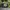 topi vintage stussy x ebbets fields strapback photo 3