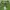 725. Polo Shirt Kaos FJ  Size L   LD114 photo 4