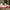 Air Jordan1 Retro Mid White Gym Red