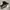 NIKE FLY BY II Low photo 3