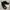 NIKE FLY BY II Low photo 2