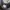 NIKE FLY BY II Low photo 4