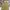 FADED GLORY DUCK CANVAS CARPENTER PANTS photo 5