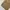 FADED GLORY DUCK CANVAS CARPENTER PANTS photo 8