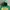 1990s Faded Kelly Green “Oregon” Russell Hoodie photo 3