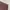 TOMMY HILFIGER JEANS LOOSEFIT BURGUNDURY photo 7