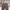 TOMMY HILFIGER JEANS LOOSEFIT BURGUNDURY photo 5