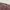 TOMMY HILFIGER JEANS LOOSEFIT BURGUNDURY photo 6