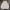 Hoodie Frank Stone  photo 2