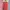 Futurist Midi Dress Wanita White Red