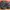 Nike Airmax TN Plus Utility Ex Footlocker photo 1