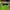 Jaket Cycling Fuerza Sport Lightweight photo 6