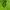 Jaket Cycling Fuerza Sport Lightweight photo 4