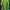 Jaket Cycling Fuerza Sport Lightweight photo 3
