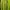 Jaket Cycling Fuerza Sport Lightweight photo 2