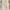 Beige Studio Vest/Top photo 1