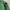 Stone island Ice Knit Green [Rare Color] photo 5