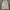 Garcome tank top garis stripe gray abu photo 1