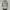Vintage Nike 00's Rainforest Winter Anorak Jacket photo 2