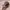 Topi Snapback Attack on Titan Season Scout Regiment Shield photo 2