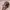 Topi Snapback Attack On Titan Season Scout Regiment Shield