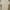 BURBERRY ENGLAN CASTLW FORD TSHIRT photo 6