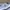 Kaos New Era Toronto White With Back Print Second Original photo 6