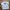 Kaos New Era Toronto White With Back Print Second Original photo 4
