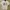 Mastermind japan Paris x A bathing Ape Rare photo 1